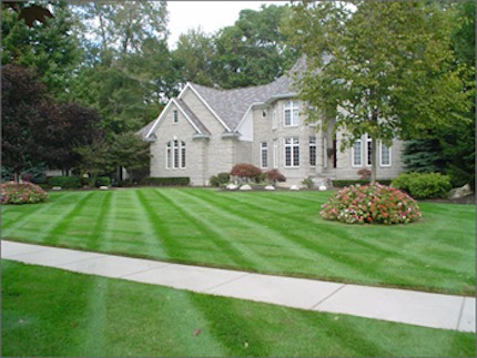 residential-lawn-care.31441804 std